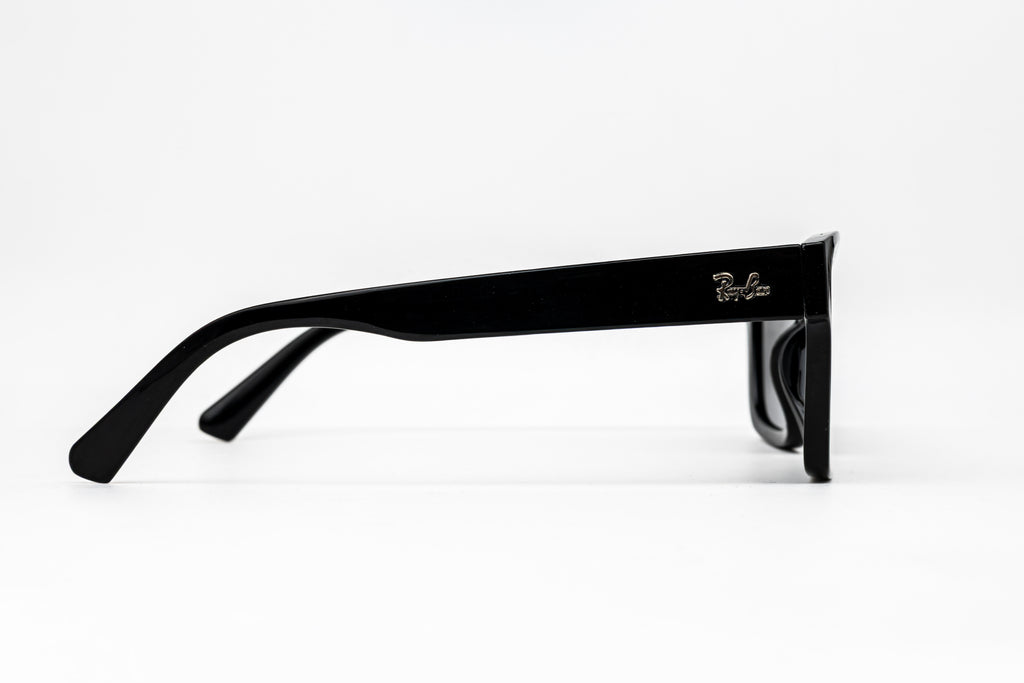 Ray-Style Polarized Edition – Matte Finish